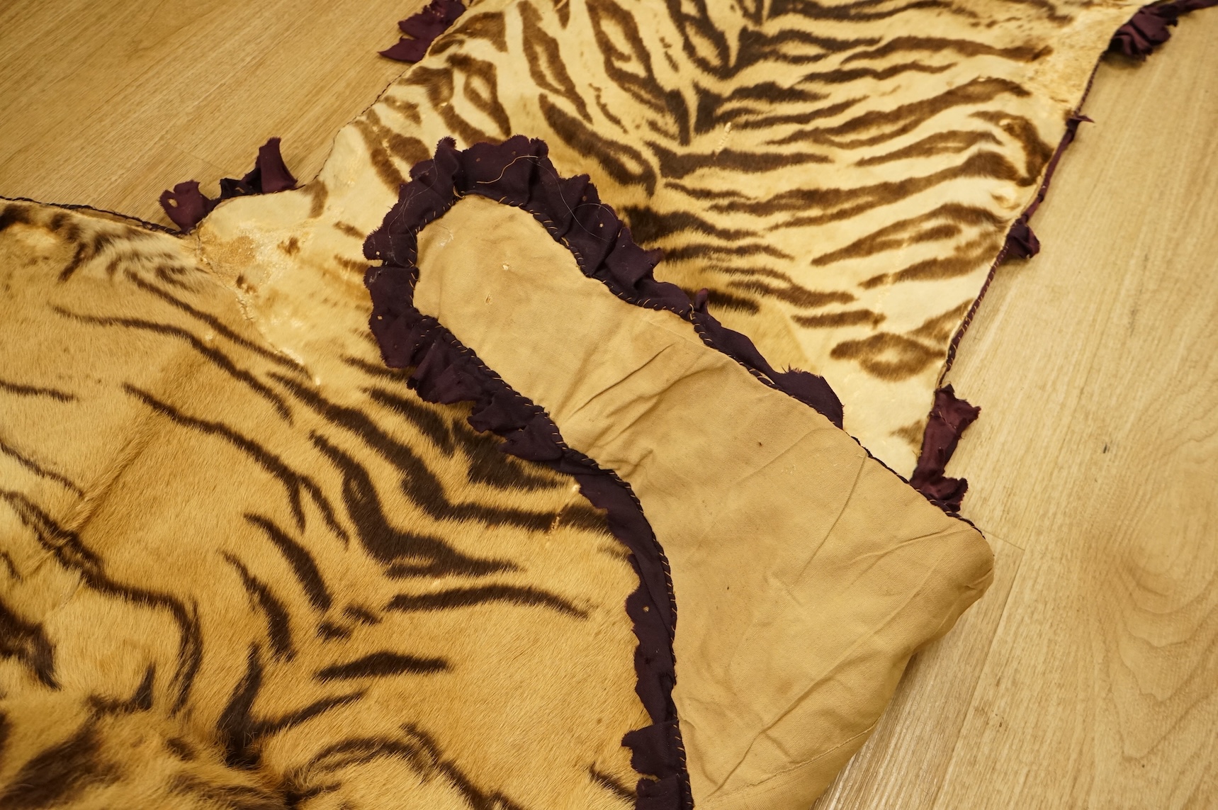 A taxidermy tiger skin rug, early 20th century